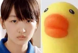 吃瓜鹅每日爆料小黄鸭影后,揭秘吃瓜鹅每日爆料背后的真相