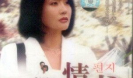 情书 电视剧,浪漫邂逅，谱写青春恋曲